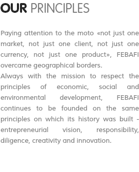 OUR PRINCIPLES Paying attention to the moto «not just one market, not just one client, not just one currency, not just one product», FEBAFI overcame geographical borders. Always with the mission to respect the principles of economic, social and environmental development, FEBAFI continues to be founded on the same principles on which its history was built - entrepreneurial vision, responsibility, diligence, creativity and innovation. 